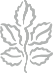 Telecare Logo
